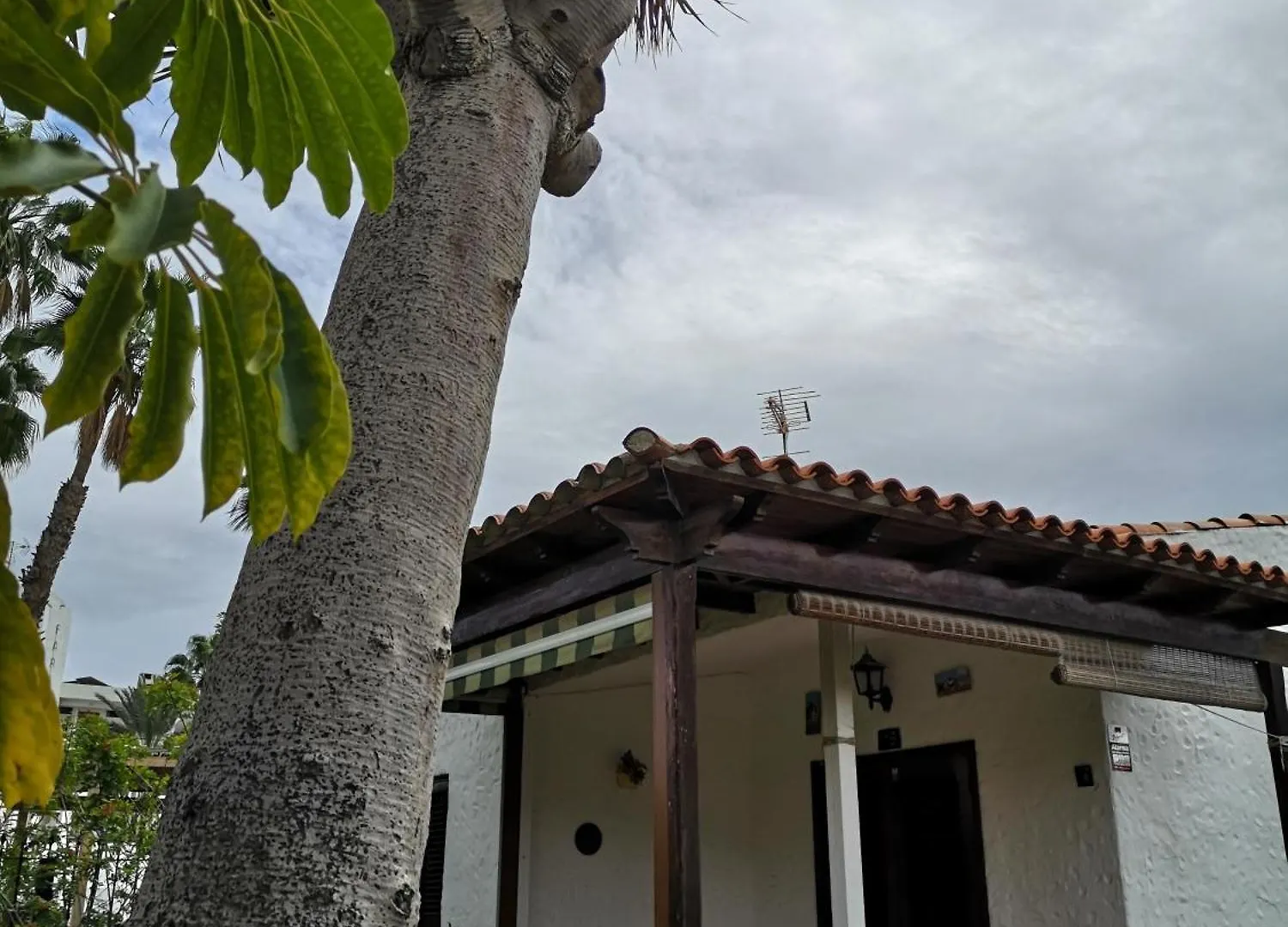 Holiday home Casa Celi Villa Playa del Ingles  Spain